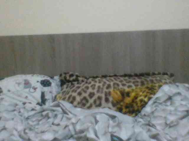 Evelynevasara1 webcam