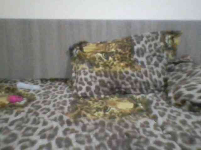 Evelynevasara1 bongacams