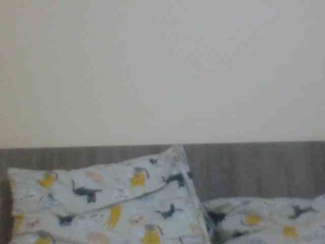 Evelynevasara1 webcam