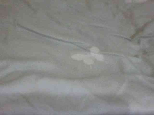 Evelynevasara1 webcam