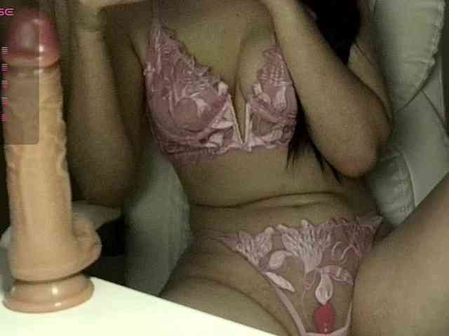 starlinaq webcam