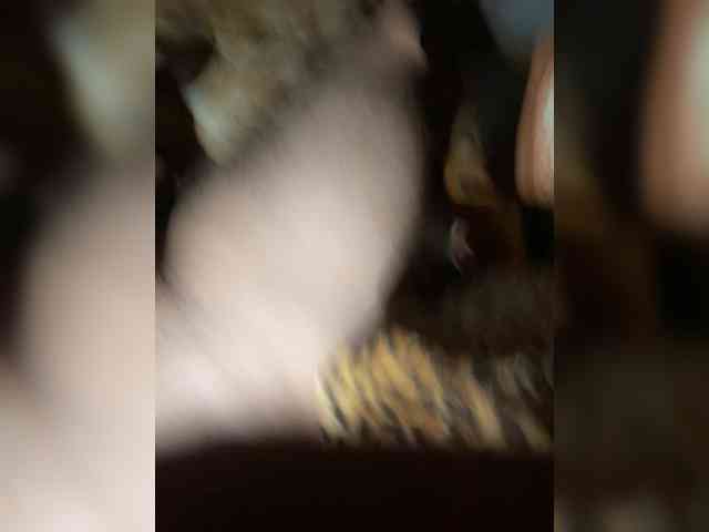 marcusjack1 marcusjack1