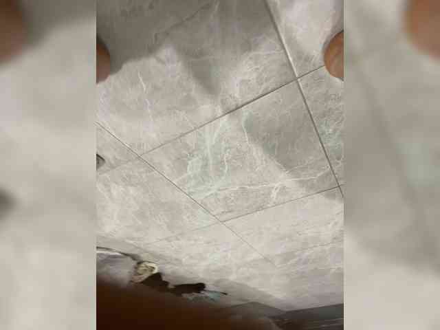 marcusjack1 marcusjack1