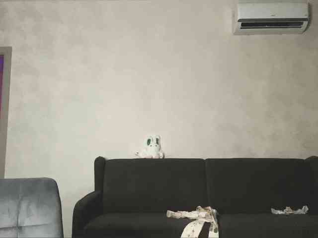 ShandraVanderwege webcam