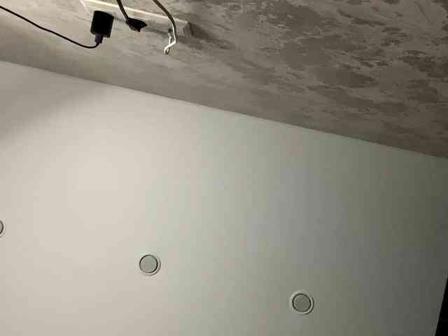 ShandraVanderwege webcam