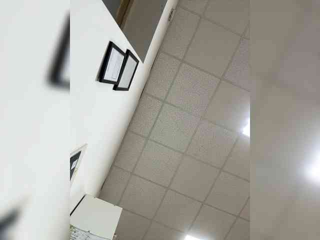 Swettypussy69 webcam