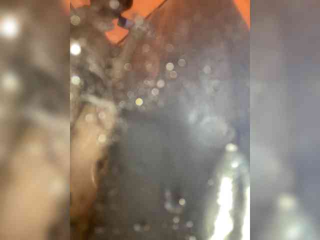 Barelylegalboytoy7