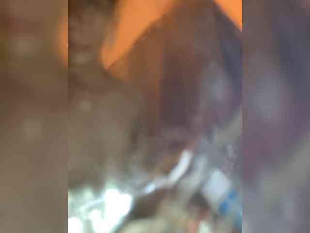 Barelylegalboytoy7