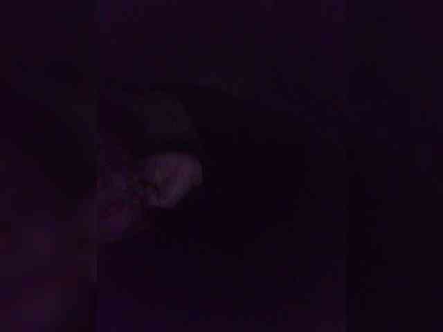 Kattselur17322 webcam