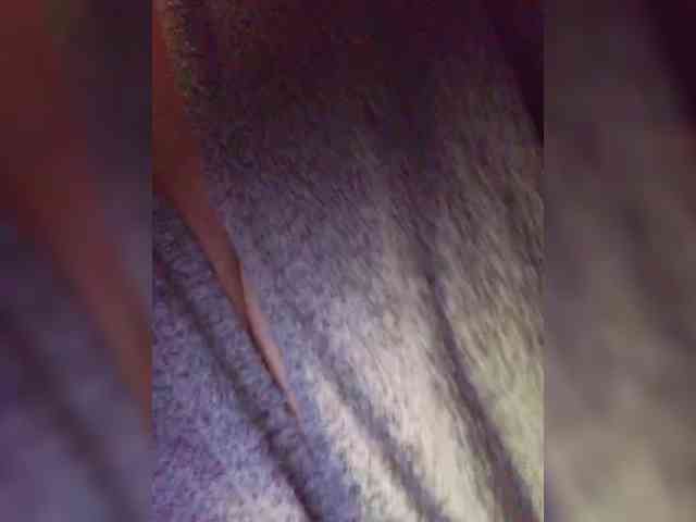 Kattselur17322 webcam