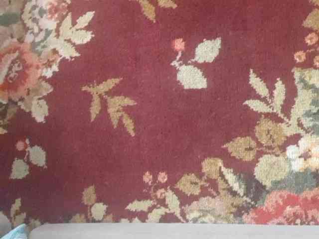 ALEKS-4336 ALEKS-4336