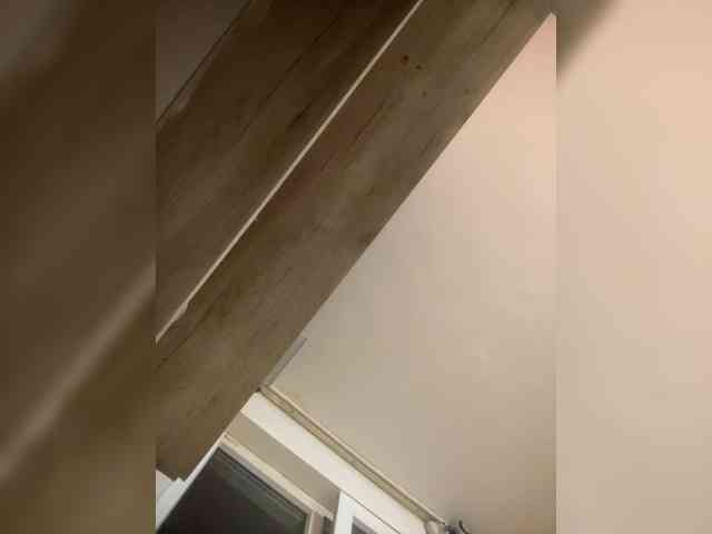 Maya101 webcam
