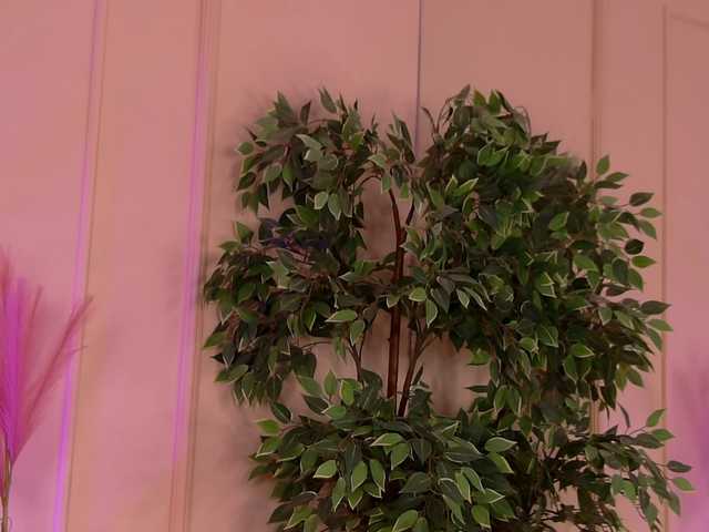 CrystalRed's BongaCams show and profile