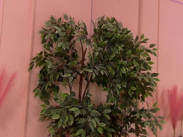 CrystalRed's BongaCams show and profile