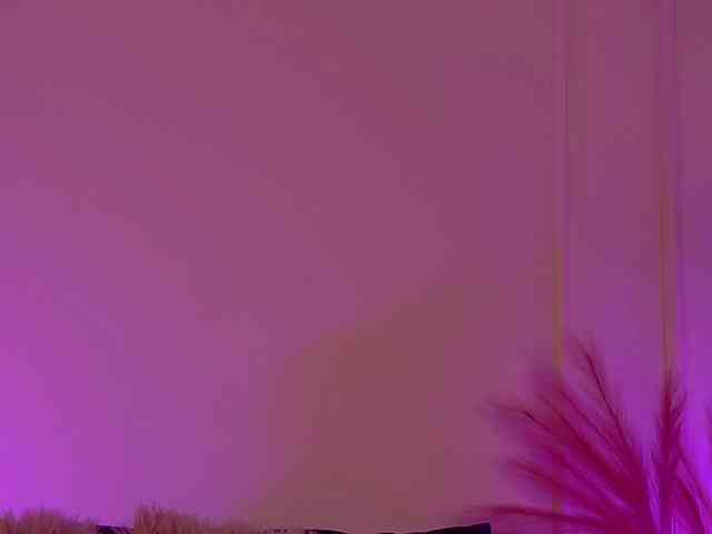 CrystalRed CrystalRed