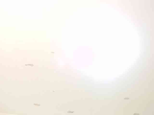 JimmyPamela webcam