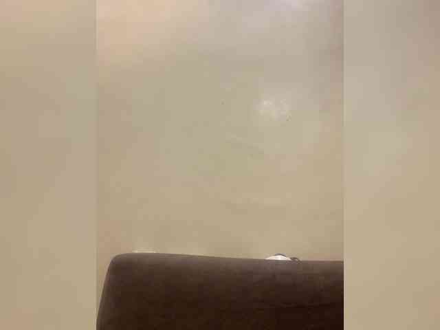 Renz25-2 webcam