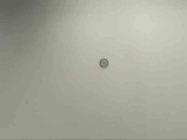 Lil-RO-XO webcam