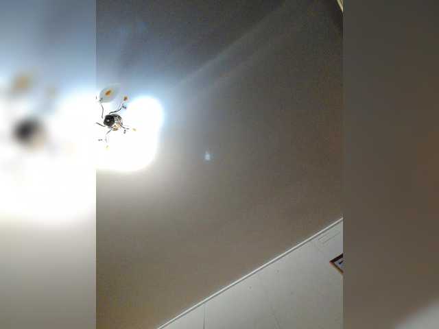 MilfaSguirt free chat on liveonude