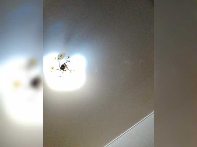 MilfaSguirt's BongaCams show and profile