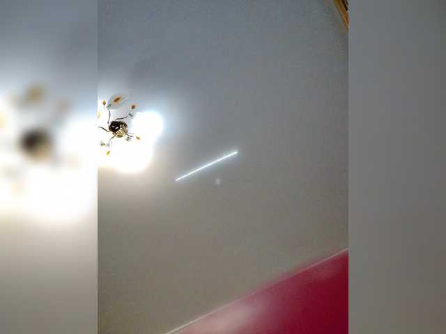 MilfaSguirt – webcam model profile photo