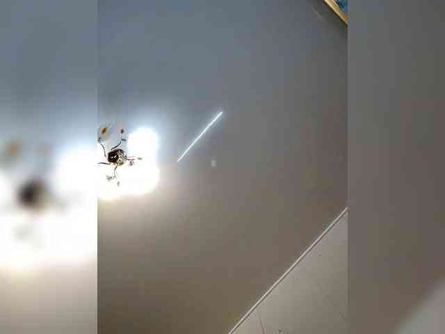 KhuremSultanswife webcam