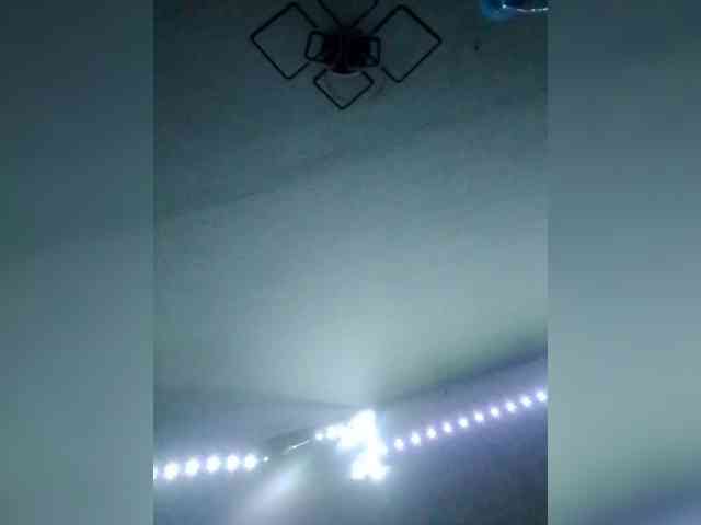 Dopink-Stars webcam