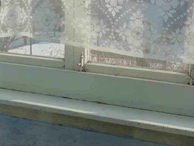 Lady-Caroline webcam