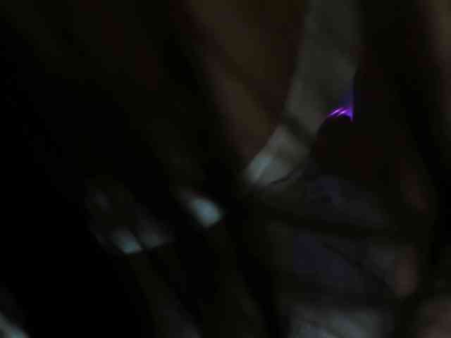 ImCatia webcam