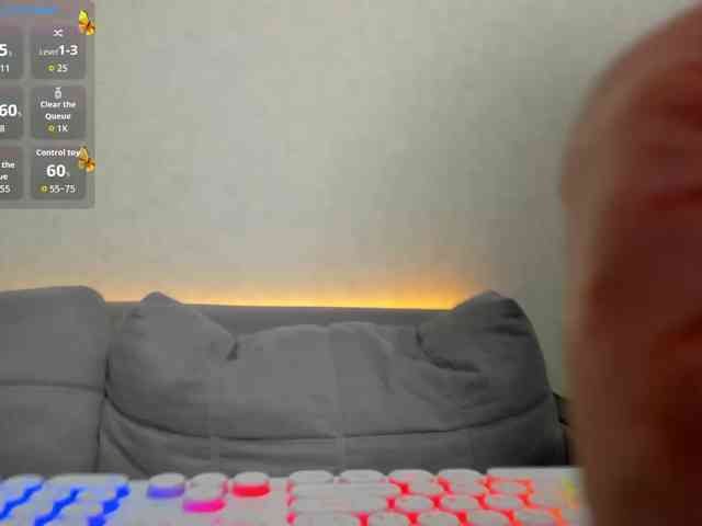 MILLEDIUM webcam