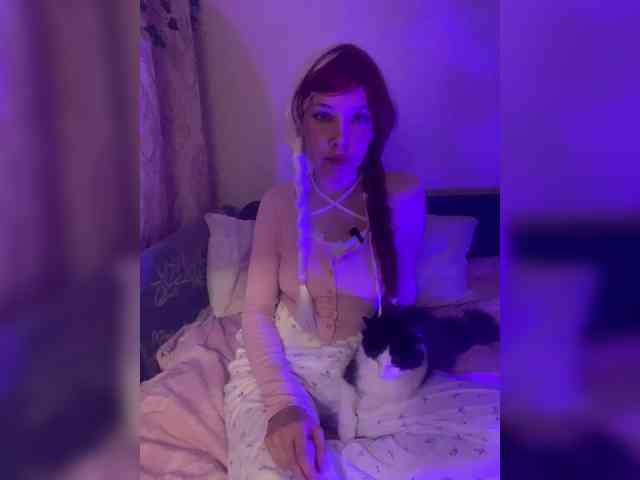 AliceHill webcam