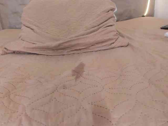 Any-Roberth Any-Roberth