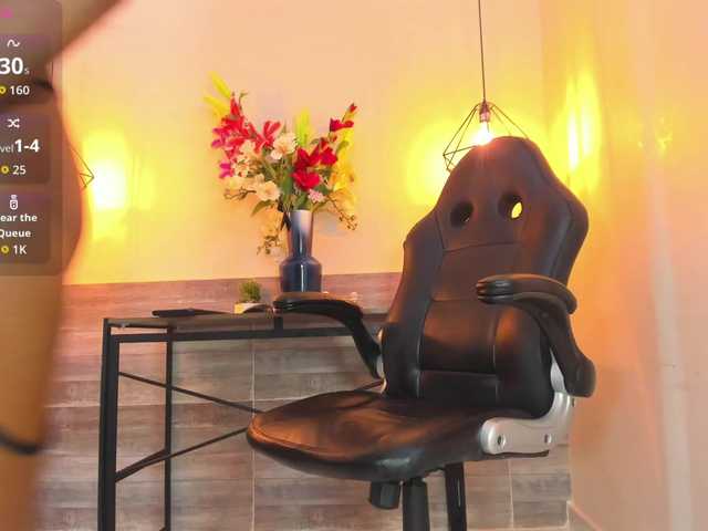 Marian-Reynolds webcam