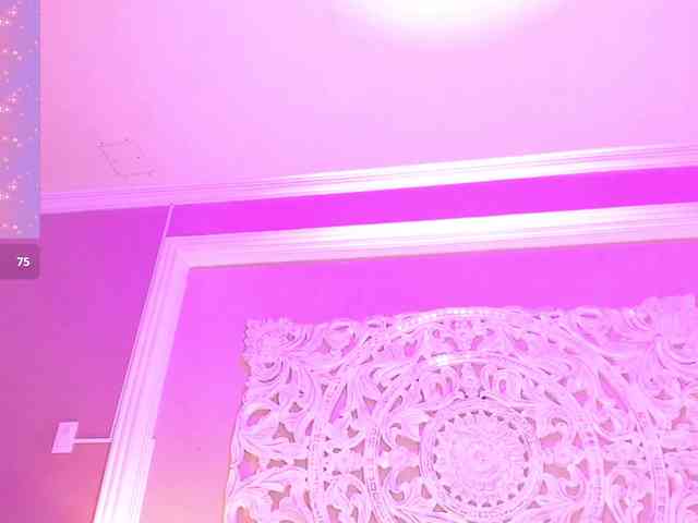 Marian-Reynolds webcam