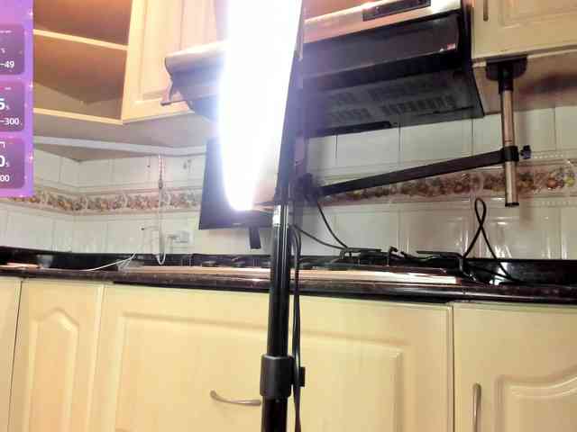 Marian-Reynolds webcam