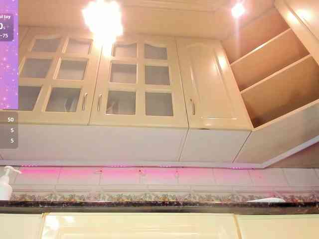 Marian-Reynolds webcam