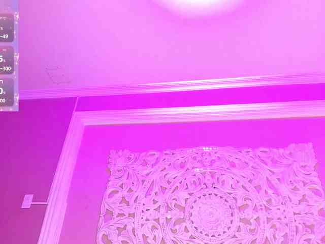 Marian-Reynolds webcam