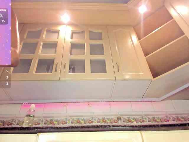 Marian-Reynolds webcam