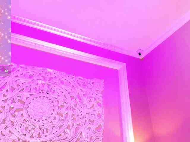 Marian-Reynolds webcam