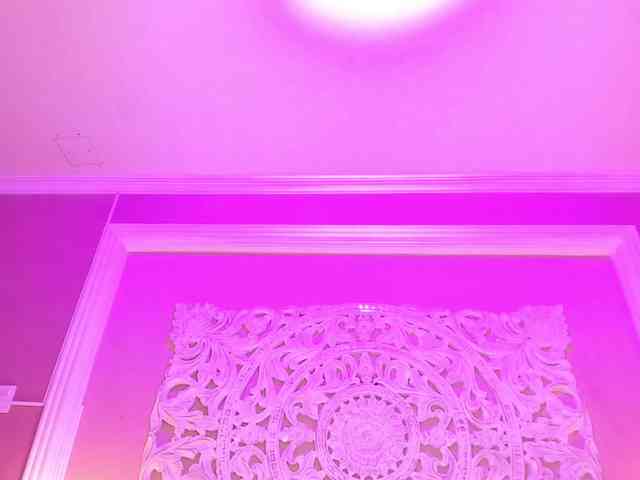 Marian-Reynolds webcam