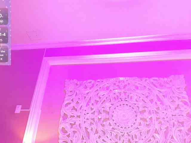 Marian-Reynolds webcam