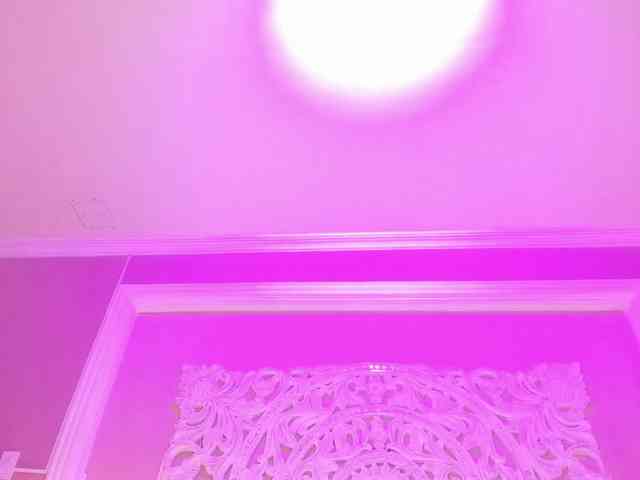 Marian-Reynolds webcam