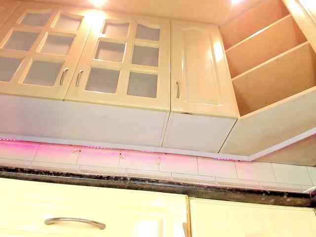 Marian-Reynolds webcam