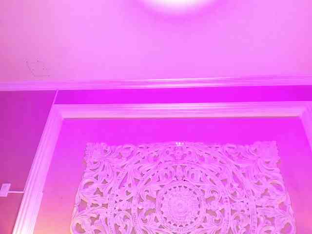 Marian-Reynolds webcam