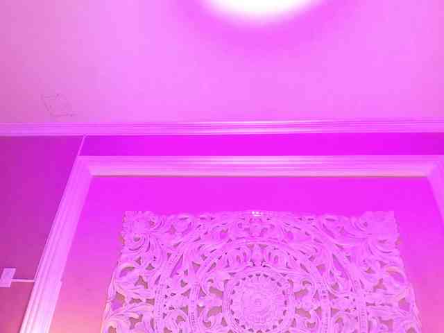 Marian-Reynolds webcam