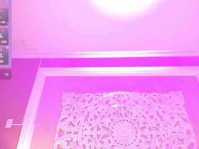 Marian-Reynolds webcam