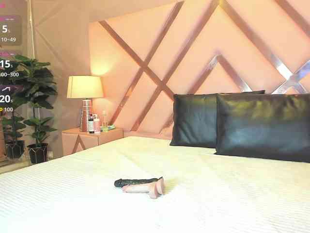 Marian-Reynolds webcam