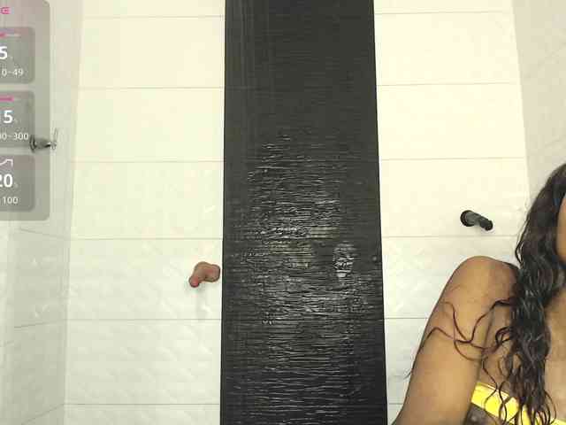 Marian-Reynolds webcam