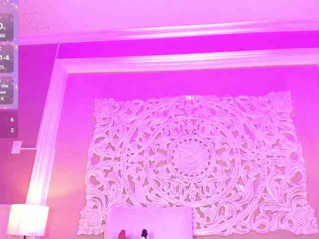 Marian-Reynolds webcam