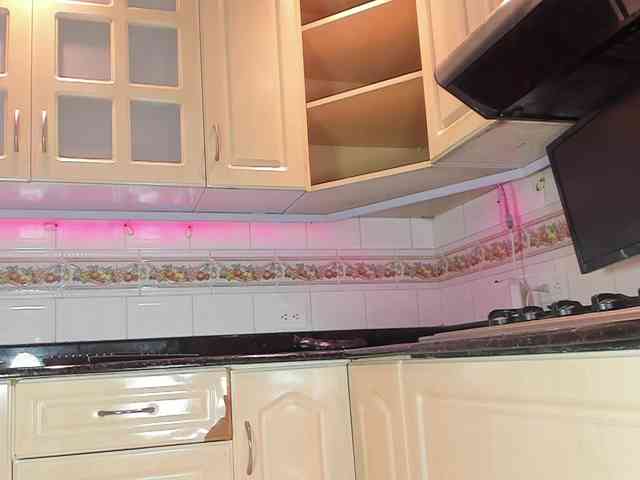 Marian-Reynolds webcam